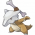 Marowak pokemon
