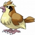 Pidgey pokemon