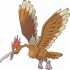 Fearow pokemon