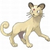 Persian pokemon