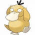 Psyduck pokemon