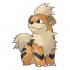 Growlithe pokemon