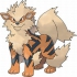 Arcanine pokemon
