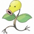 Bellsprout pokemon