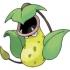 Victreebel pokemon