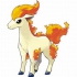 Ponyta pokemon
