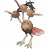 Dodrio pokemon